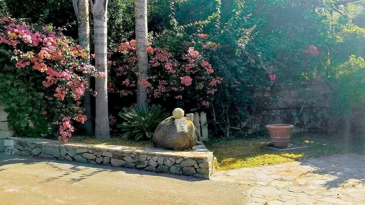 Photo of Outdoor in Mitogio