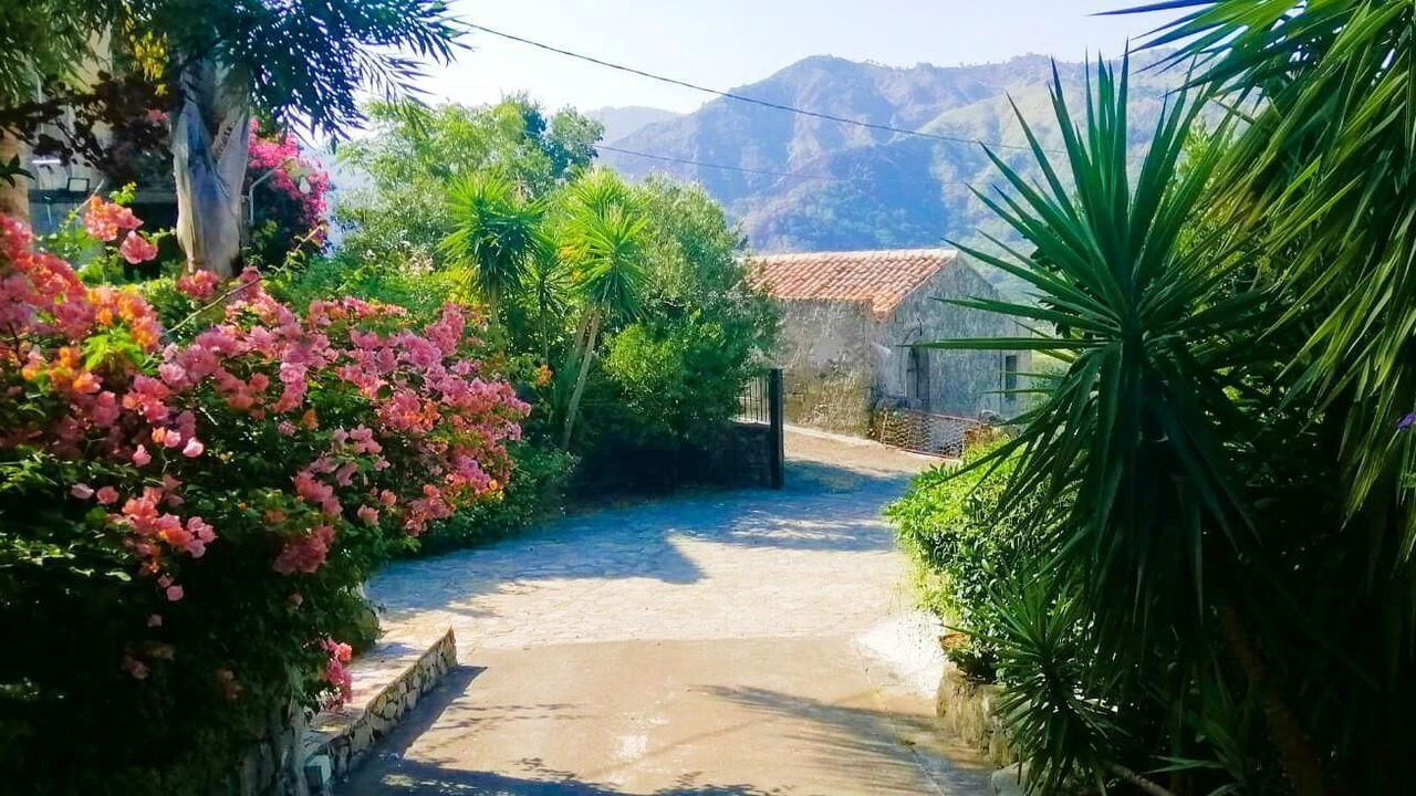 Photo of Outdoor in Mitogio