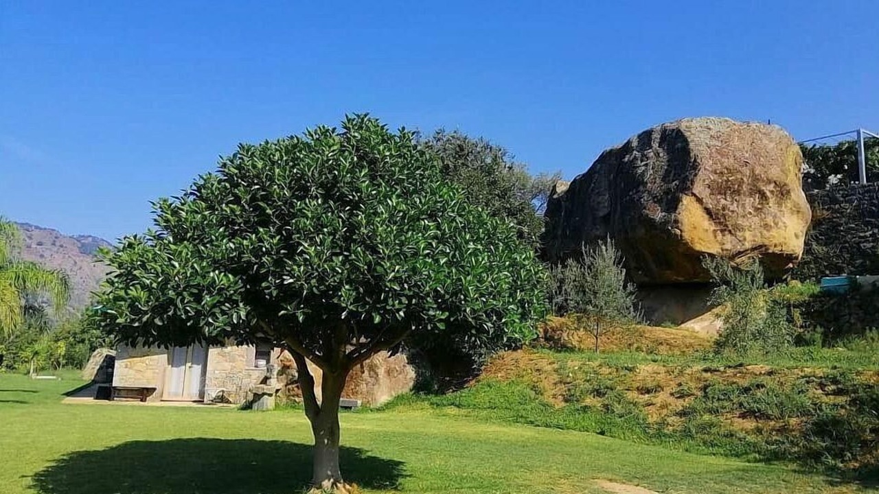 Photo of Outdoor in Mitogio