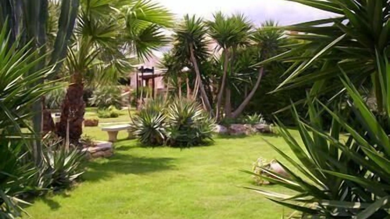 Photo of Outdoor in Sant'Andrea Bonagia