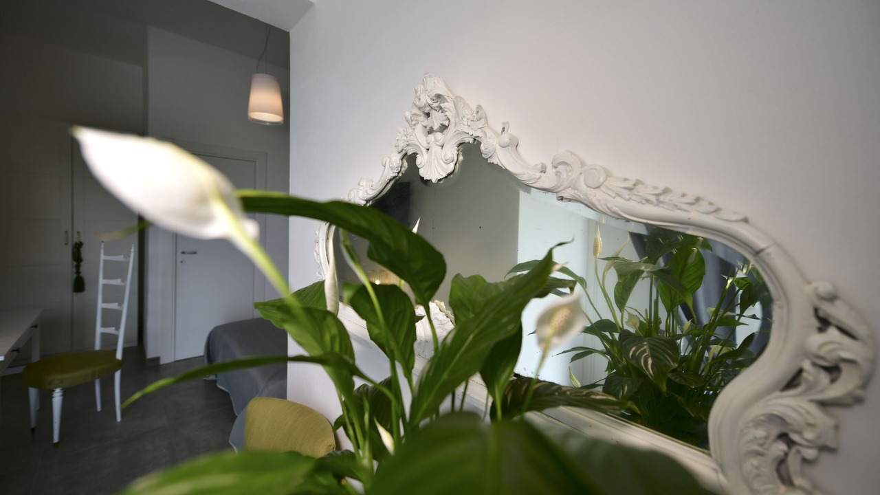 Photo of Outdoor in Terrasini