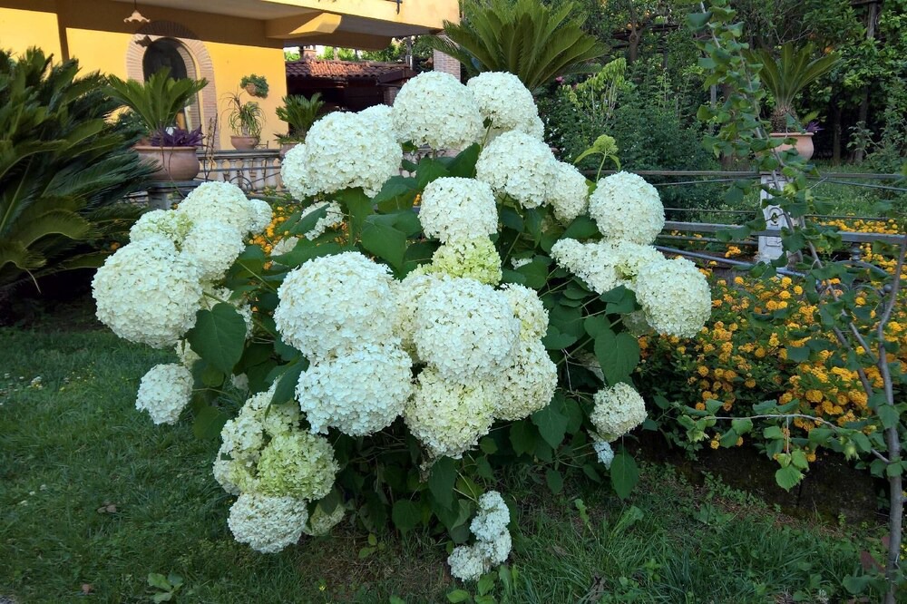 Photo of Outdoor in Sant'Agnello