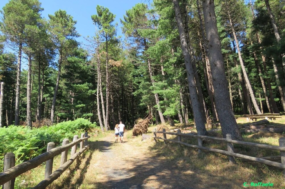 Photo of Outdoor in Falerna