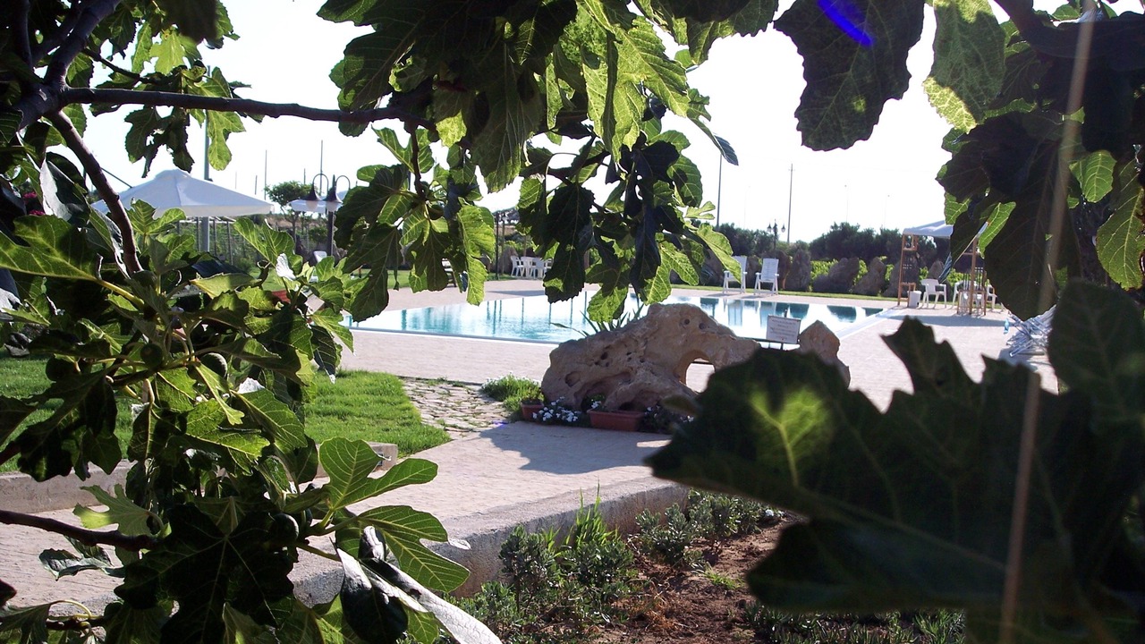 Photo of Outdoor in Marsala