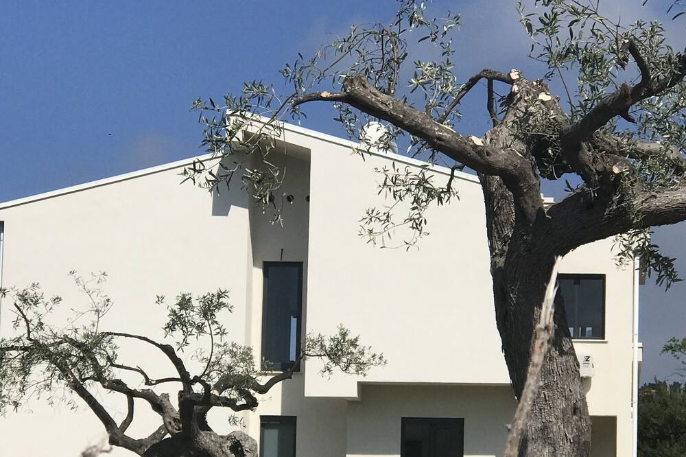 Photo of Outdoor in Termini Imerese