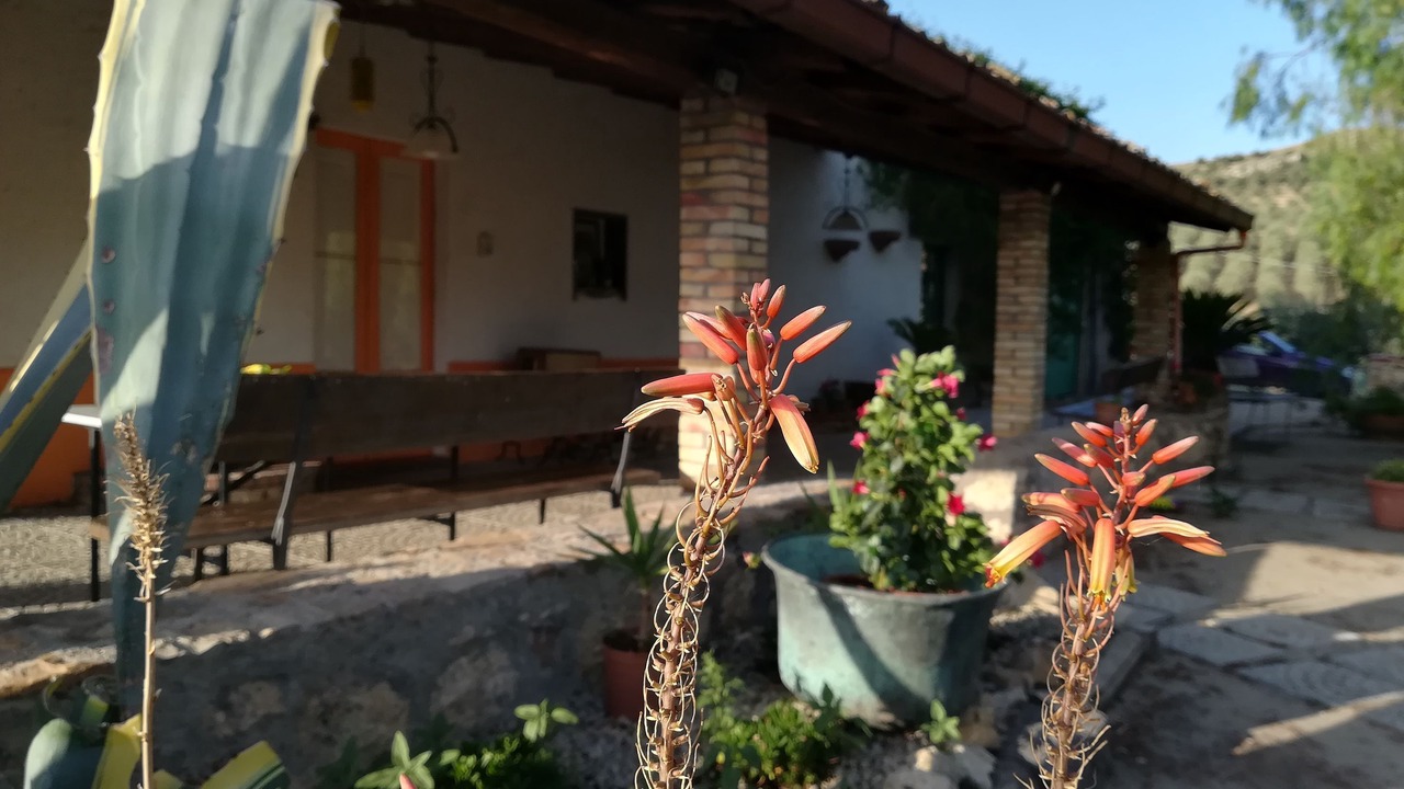Photo of Outdoor in Centuripe
