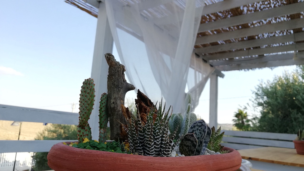 Photo of Outdoor in Ioppolo Giancaxio