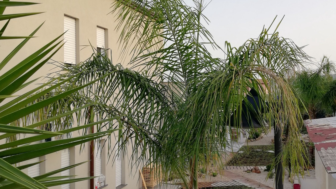 Photo of Outdoor in Ioppolo Giancaxio