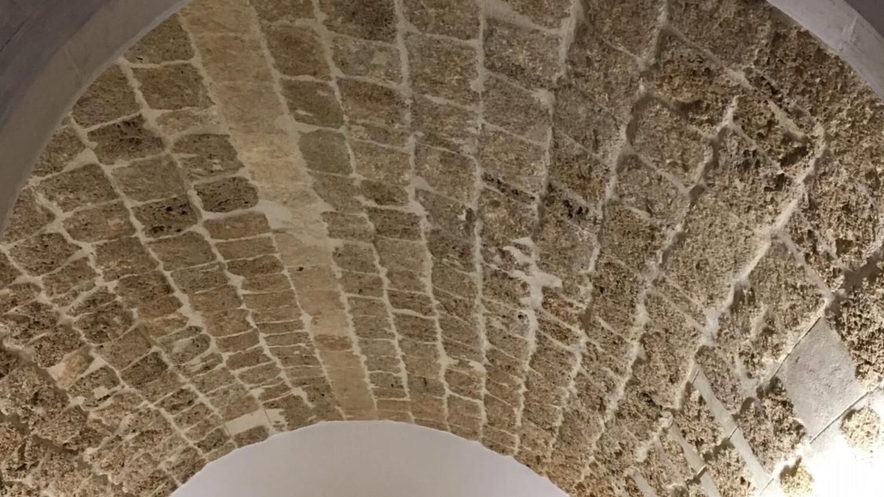 Photo of Others in Noto