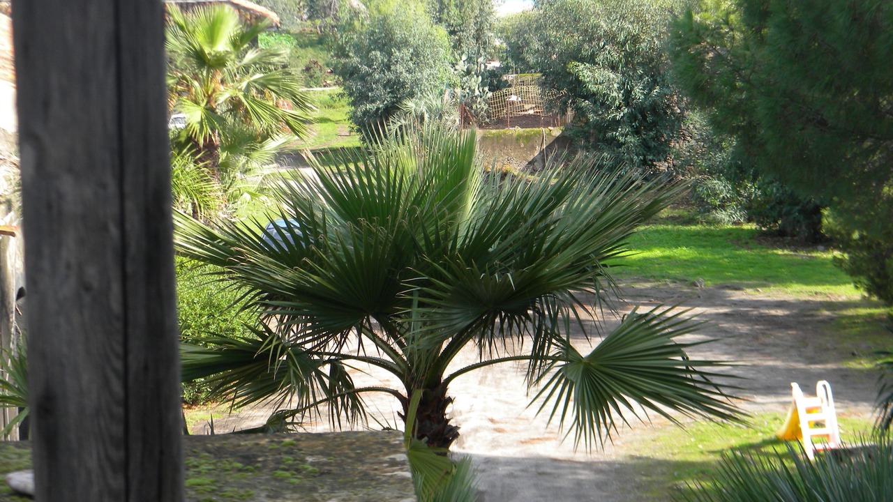Photo of Outdoor in Fiumefreddo di Sicilia