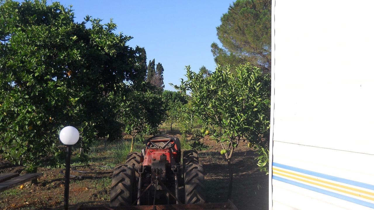 Photo of Outdoor in Fiumefreddo di Sicilia