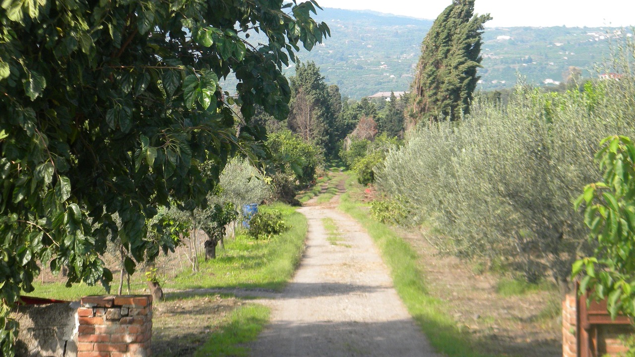 Photo of Outdoor in Fiumefreddo di Sicilia