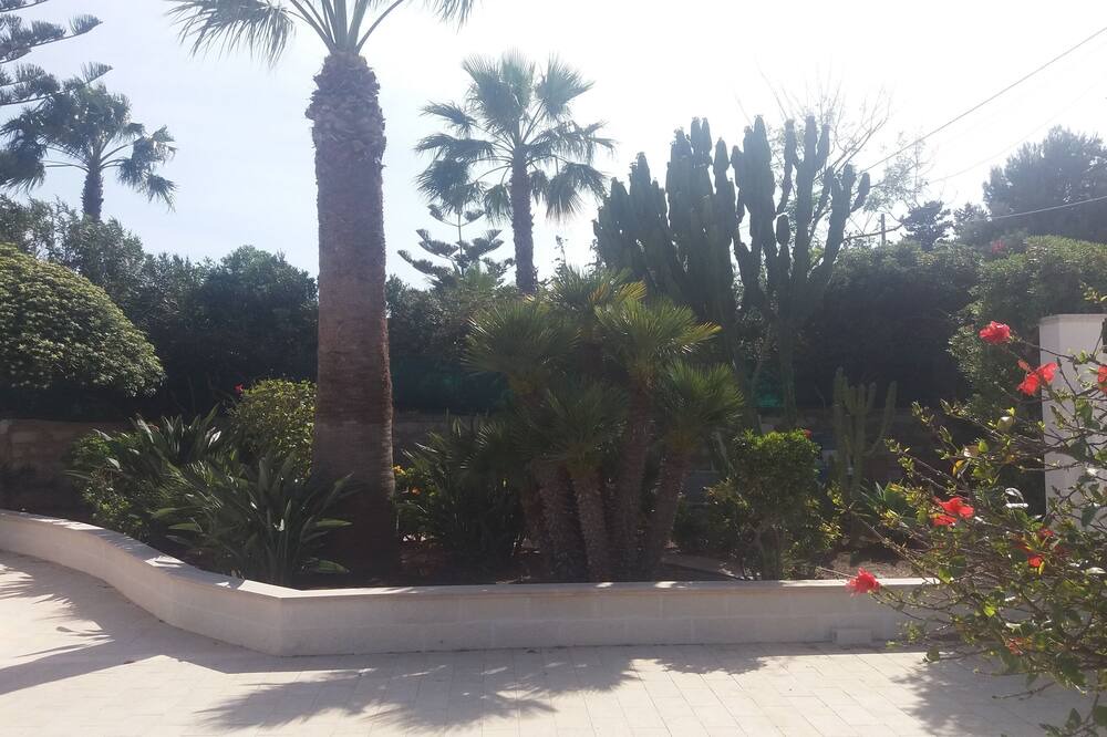 Photo of Outdoor in San Lorenzo