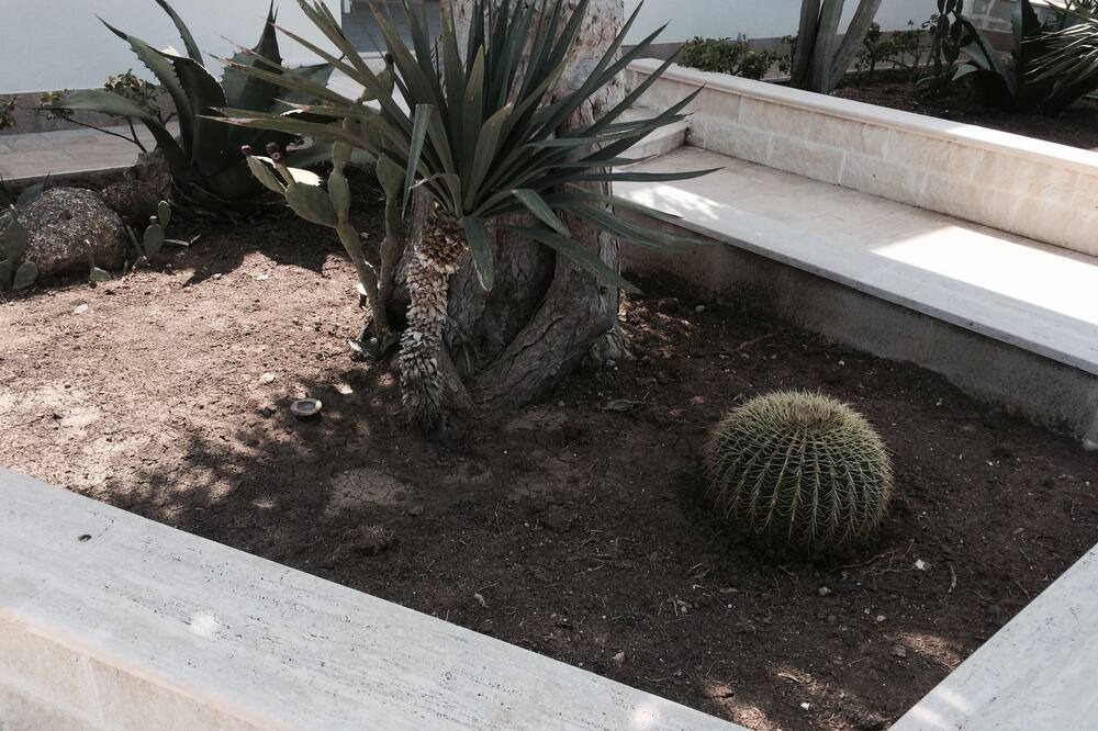 Photo of Outdoor in San Lorenzo