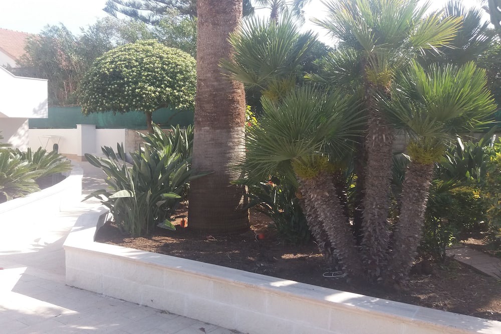 Photo of Outdoor in San Lorenzo