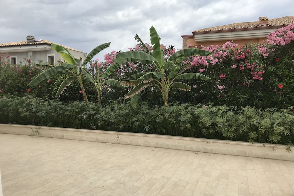 Photo of Outdoor in San Lorenzo