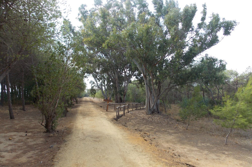 Photo of Outdoor in Ribera