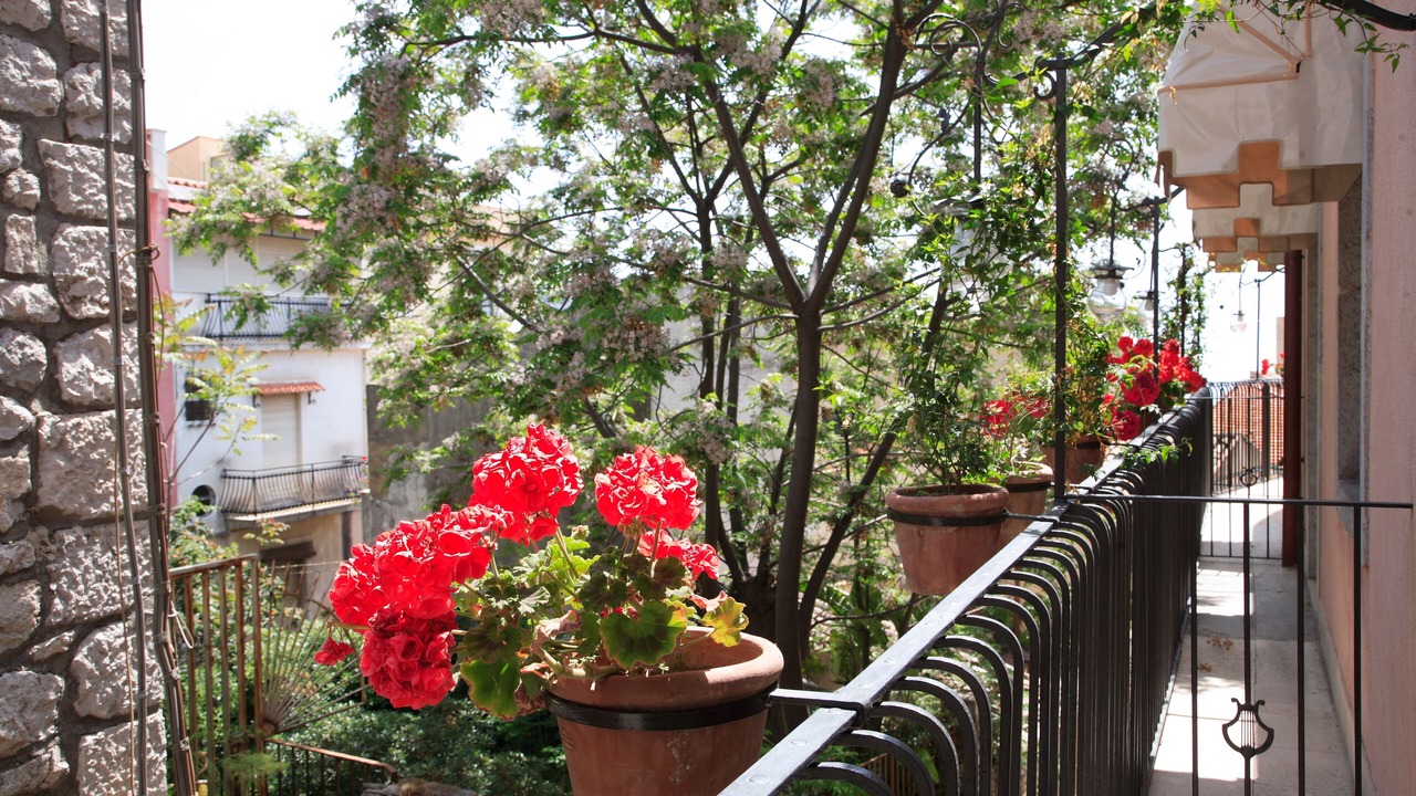 Photo of Outdoor in Taormina City Centre