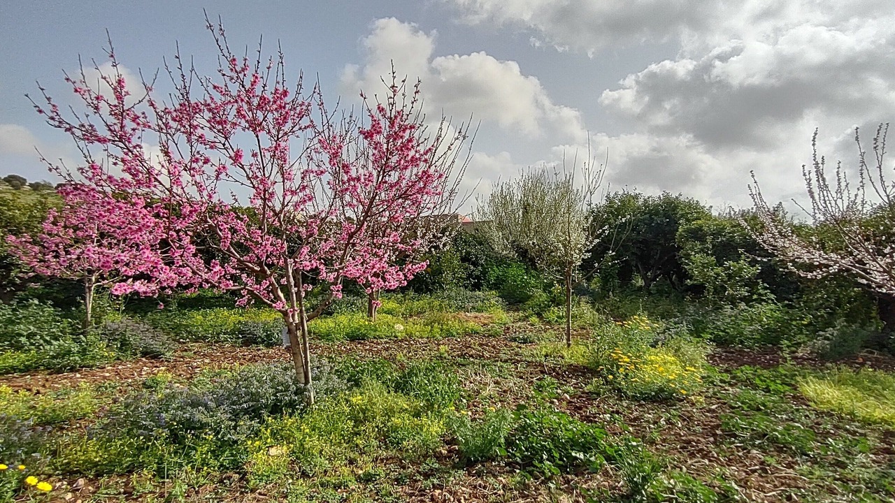 Photo of Outdoor in Ragusa