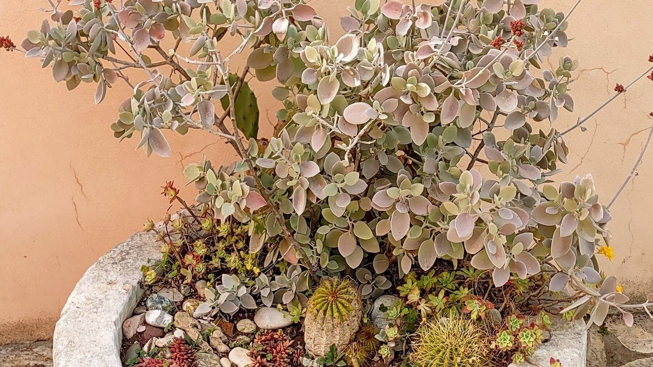 Photo of Outdoor in Ragusa