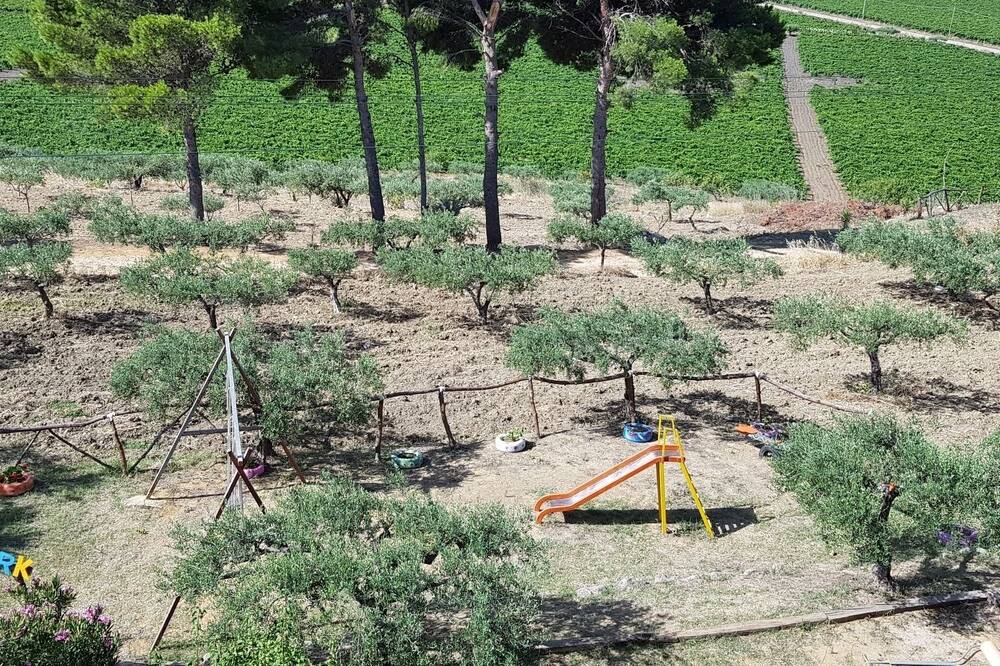 Photo of Others in Agrigento