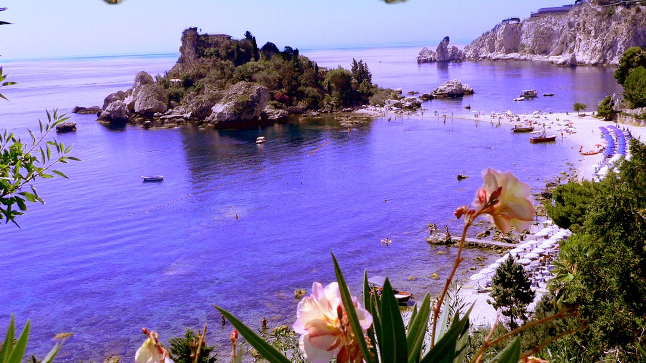 Photo of Others in Mazzaro