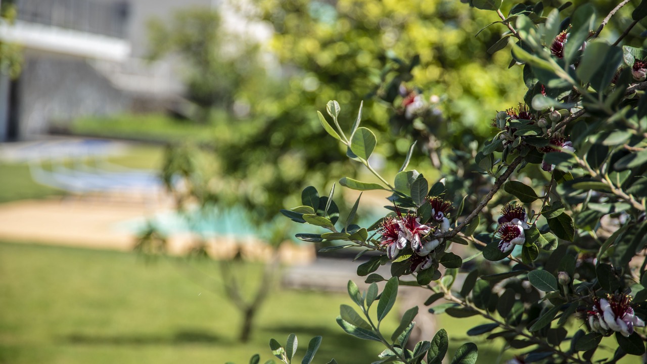 Photo of Outdoor in Mascali
