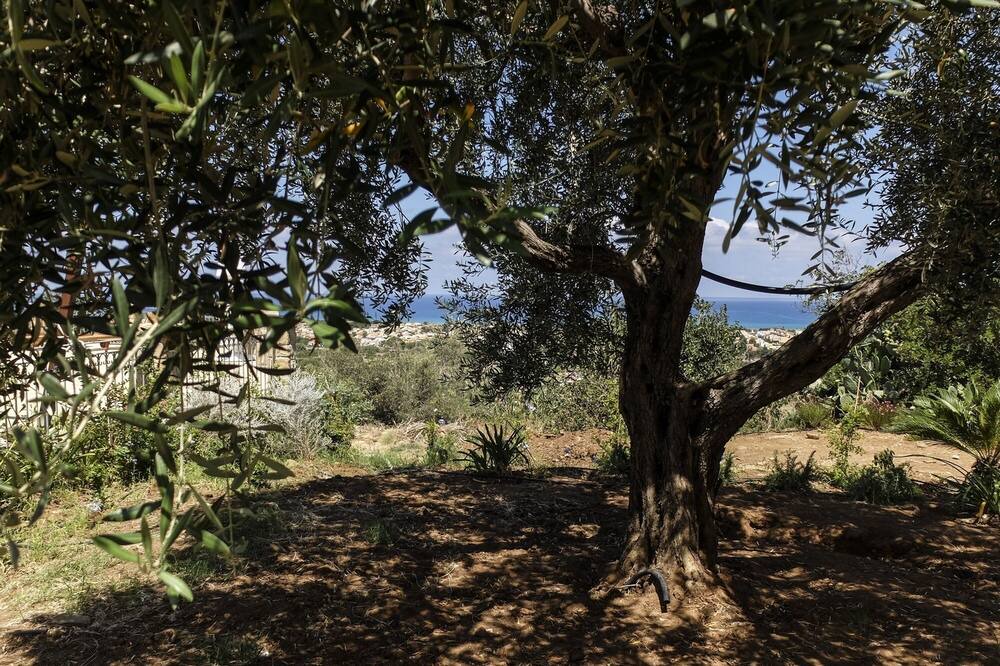 Photo of Outdoor in Lascari