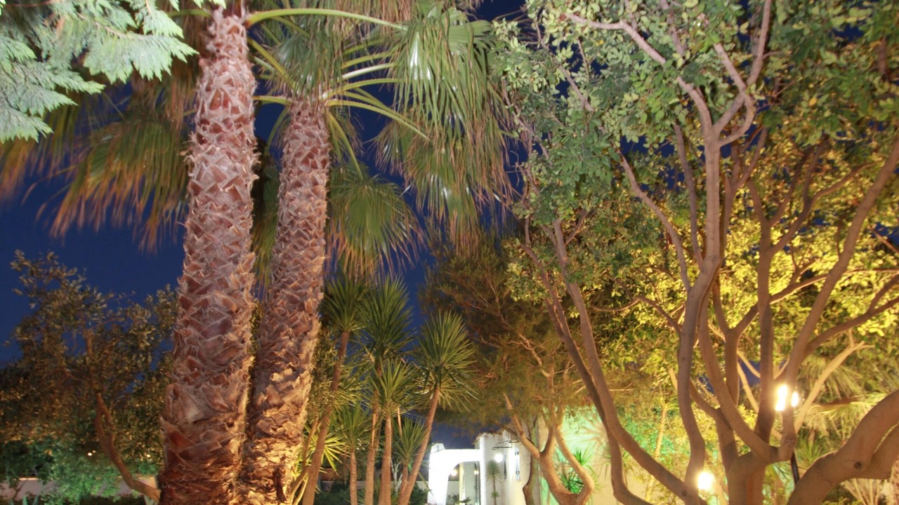 Photo of Outdoor in Lampedusa