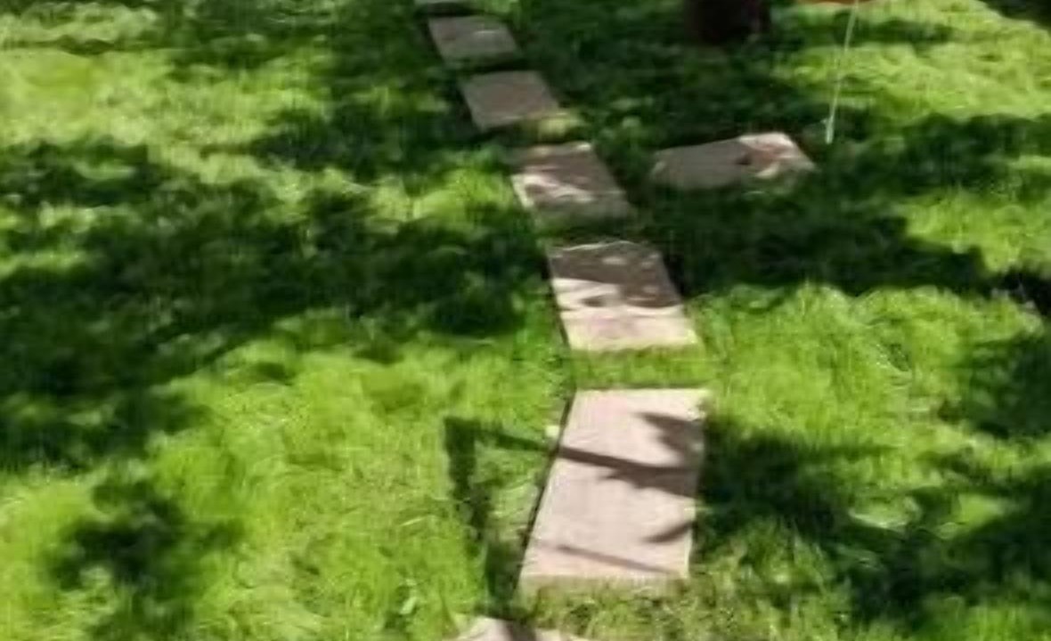 Photo of Outdoor in Patti