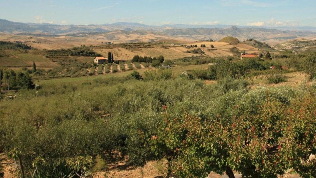 Photo of Outdoor in Enna