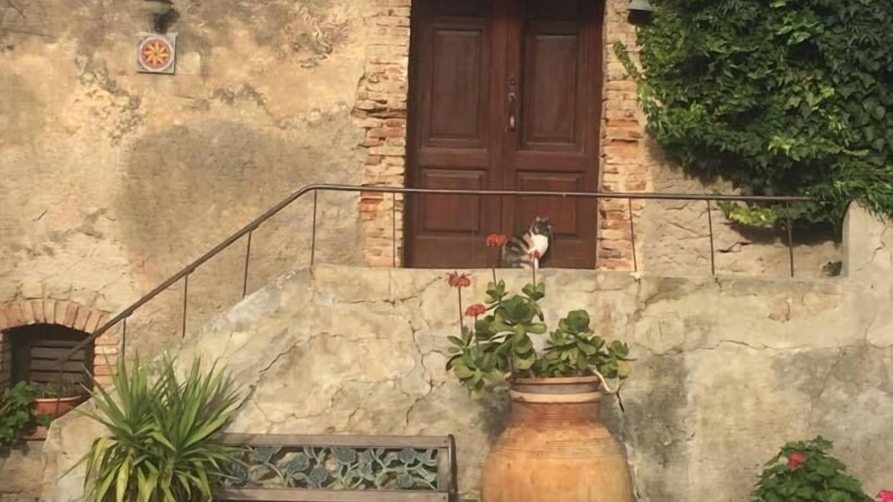Photo of Others in San Fratello