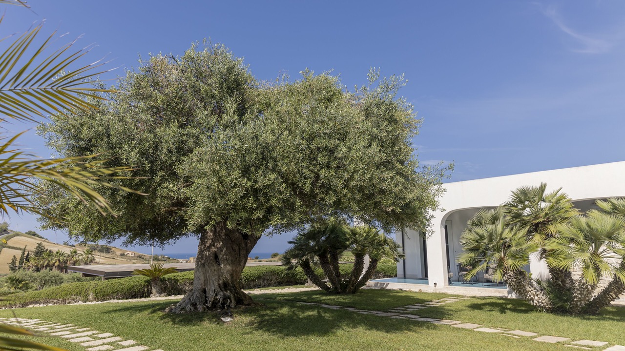 Photo of Outdoor in Realmonte