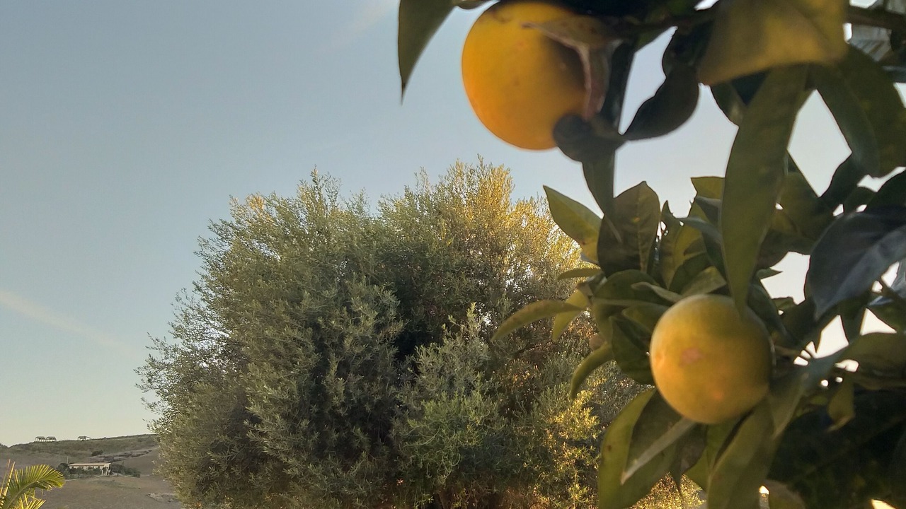Photo of Outdoor in Realmonte
