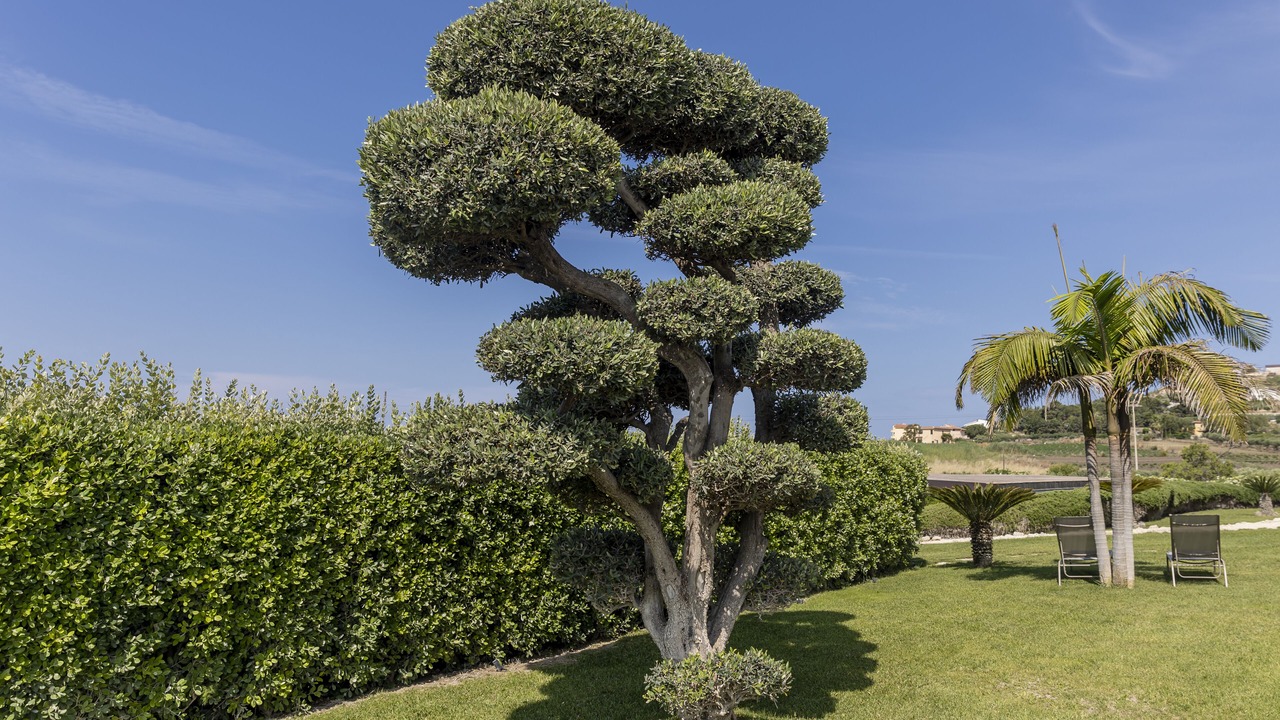 Photo of Outdoor in Realmonte