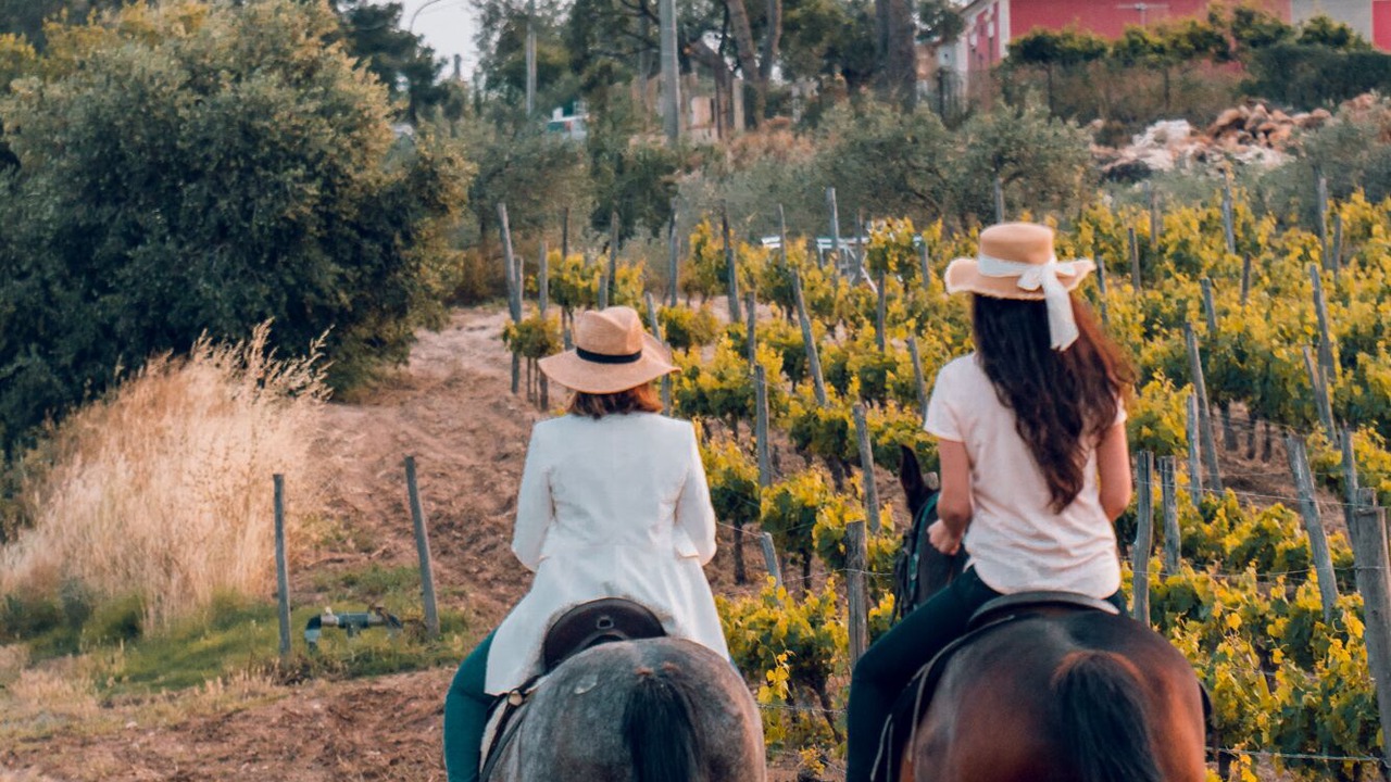 Photo of Outdoor in Vittoria