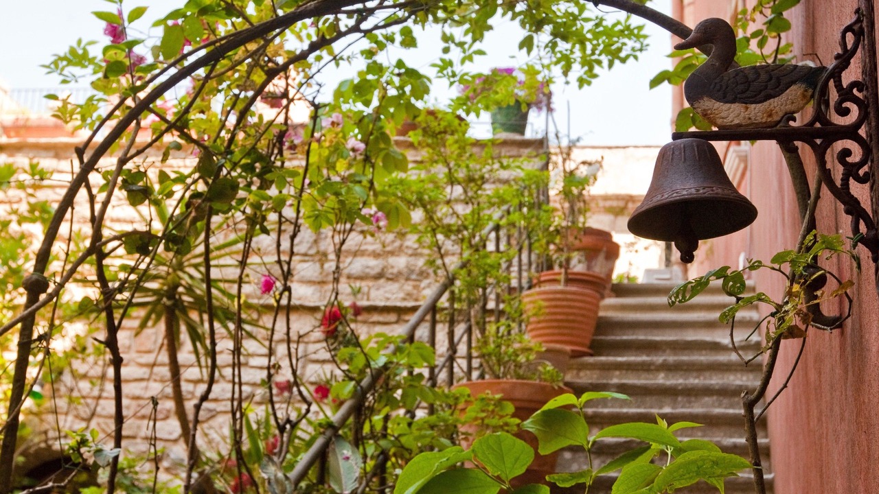 Photo of Outdoor in Erice