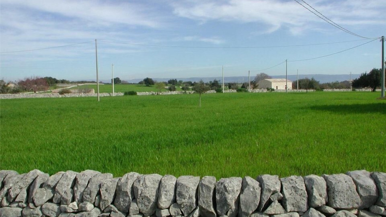 Photo of Outdoor in Cannizzara