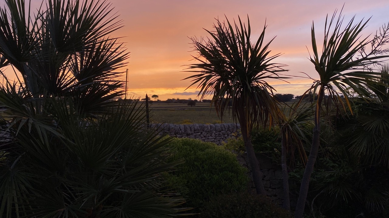 Photo of Outdoor in Cannizzara