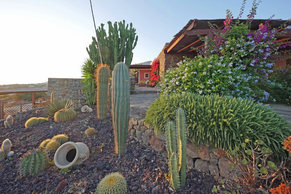 Photo of Outdoor in Scauri I