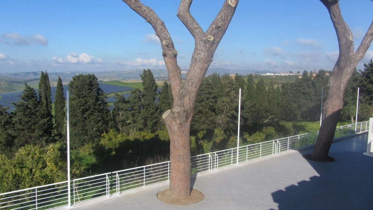 Photo of Others in Santa Ninfa