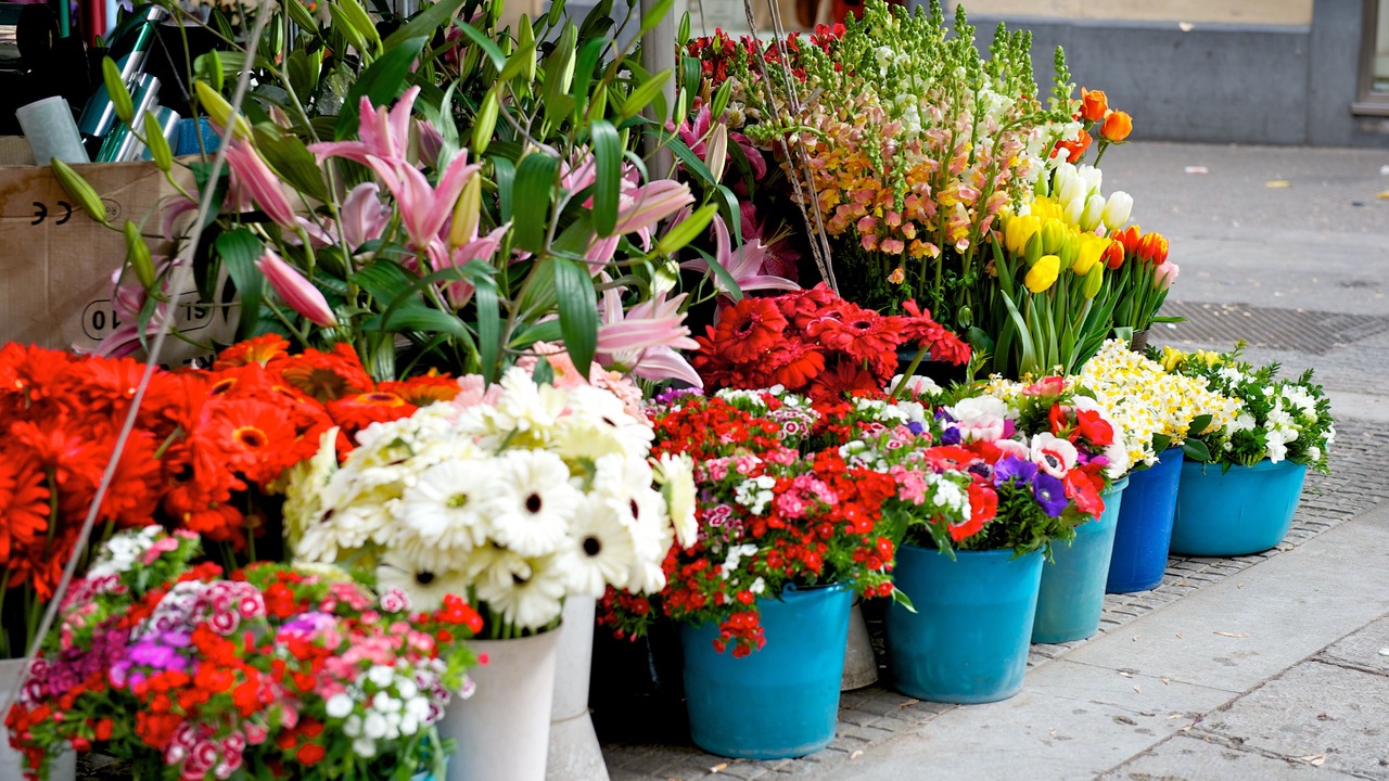 Photo of Outdoor in Palermo