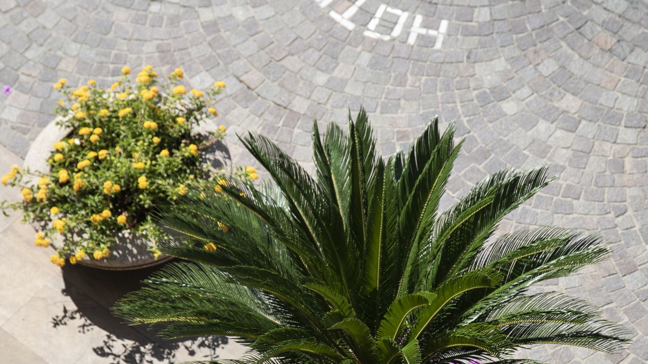 Photo of Outdoor in Canneto di Caronia