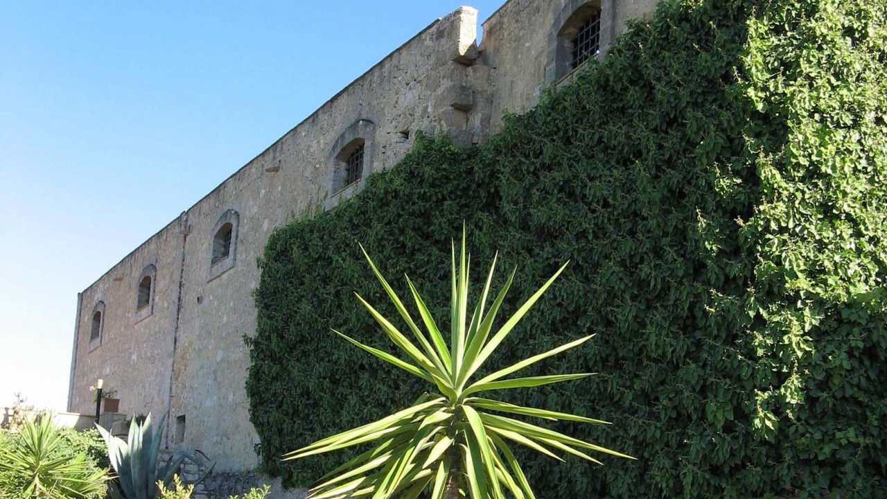 Photo of Outdoor in Paparella