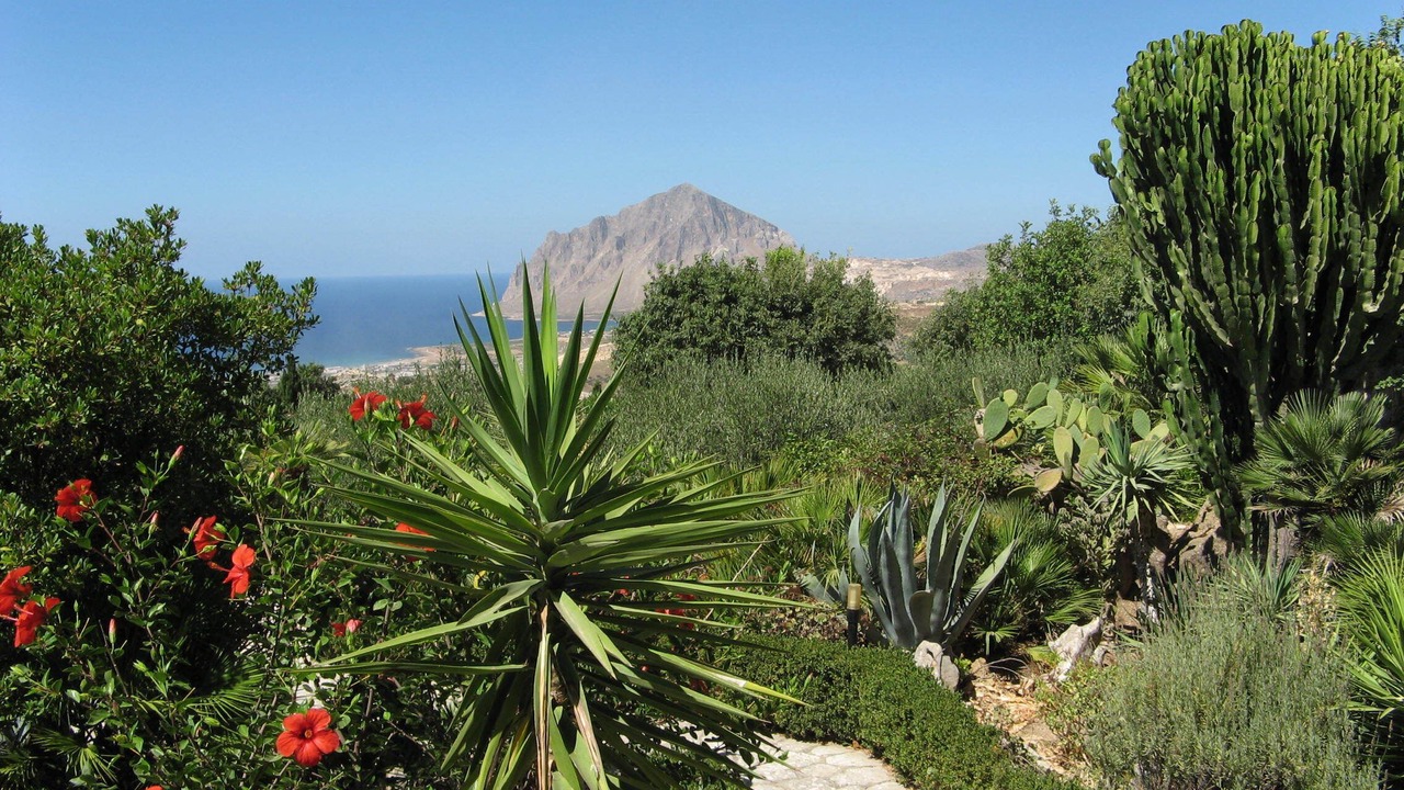 Photo of Outdoor in Paparella