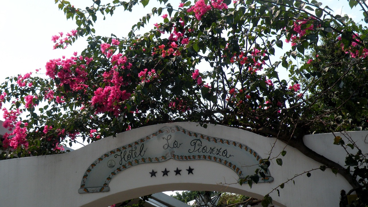 Photo of Outdoor in Panarea