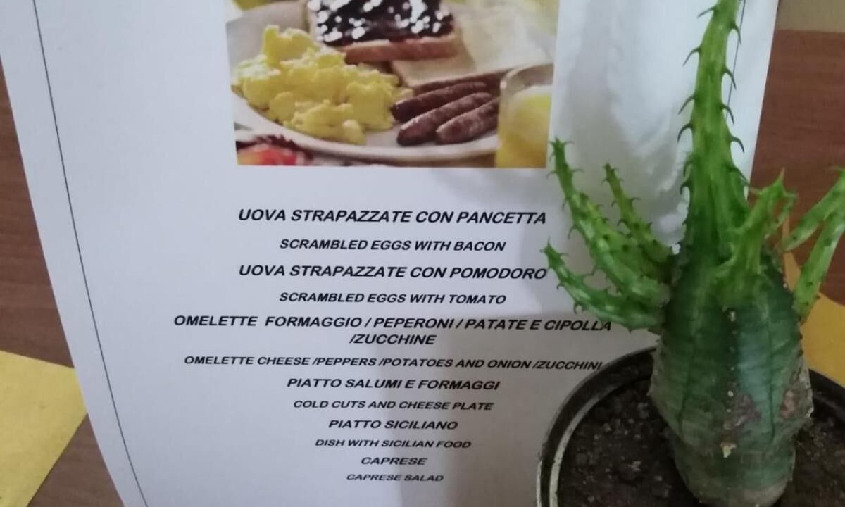 Photo of Others in Fornazzo