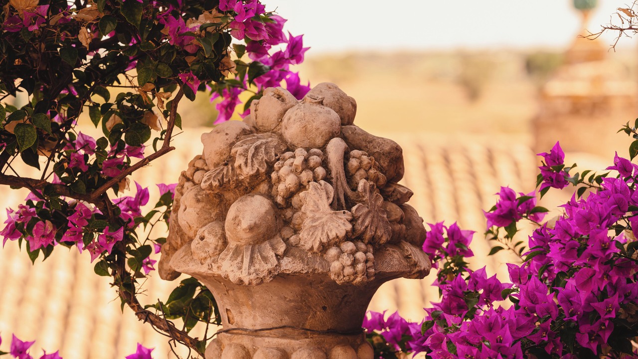 Photo of Outdoor in Noto