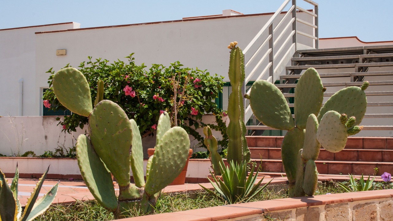 Photo of Outdoor in Lido Rossello