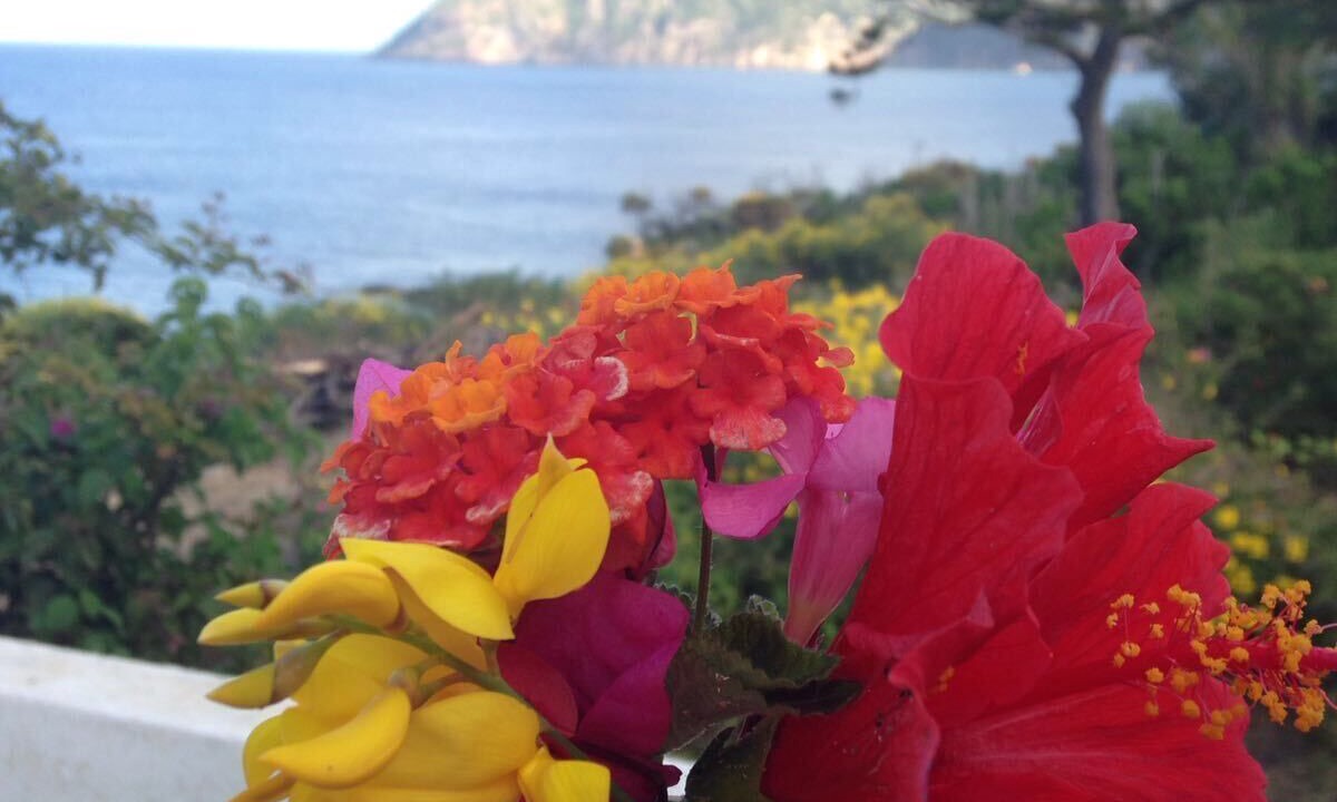 Photo of Outdoor in Vulcanello
